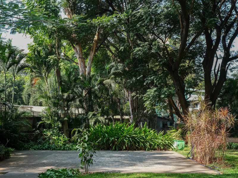 Luscious green at the office campus - Beautiful Homes