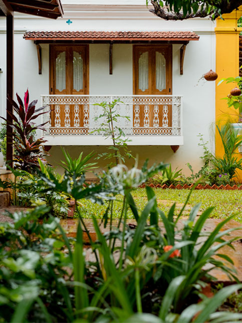 Large window design – Beautiful Homes