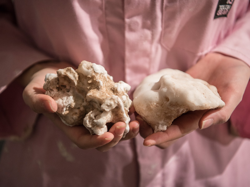 Salt Imaginaries research 2020 – Beautiful Homes