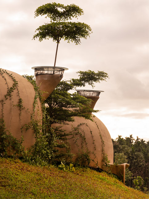 Façade with creeping vines – Beautiful Homes