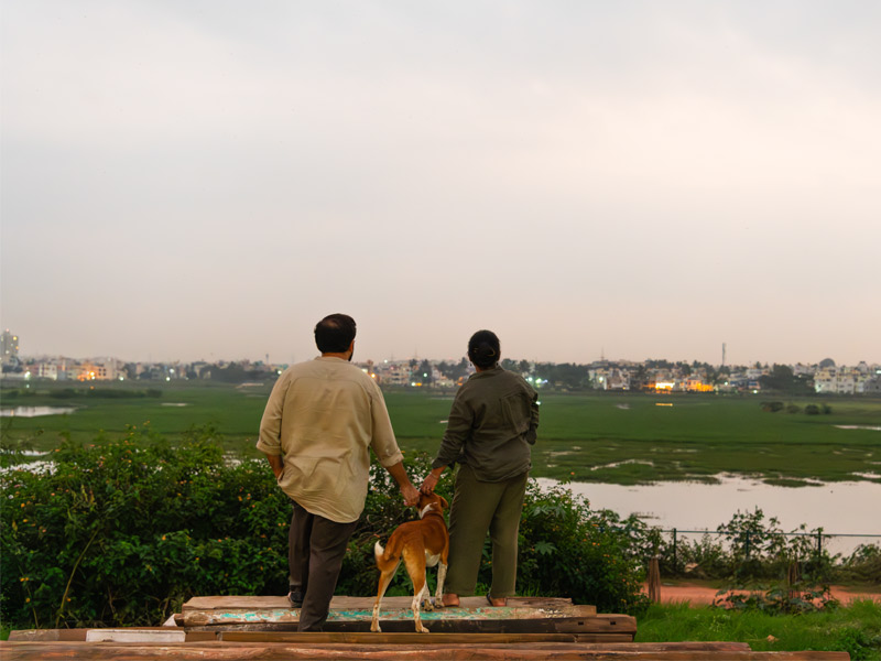 Scenic Evening in Bangalore - Beautiful Homes