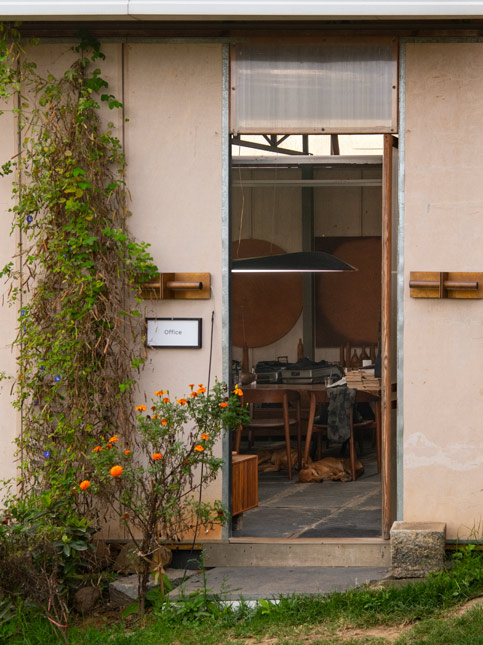 Simple Entrance with Climbing Plants - Beautiful Homes