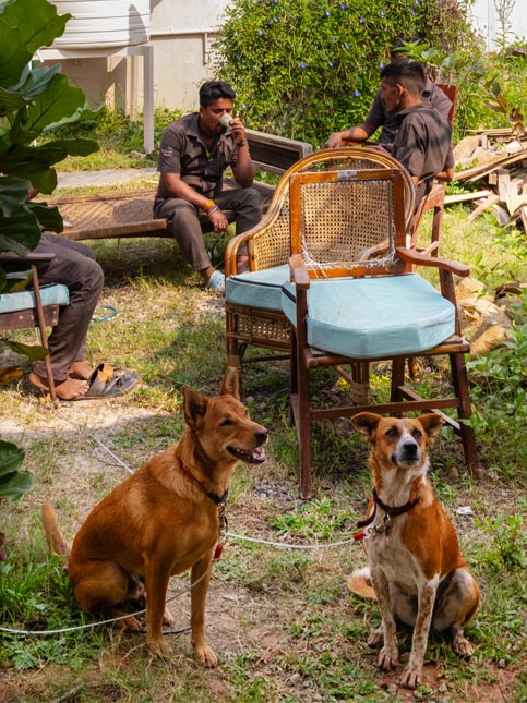 Wooden Sitting Chair with Light Blue Cushion - Beautiful Homes
