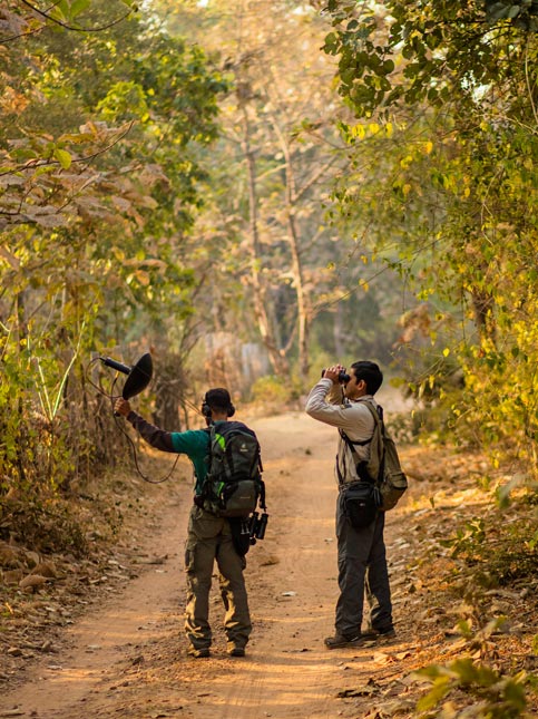 Animal Spotting Through Binoculars - Beautiful Homes