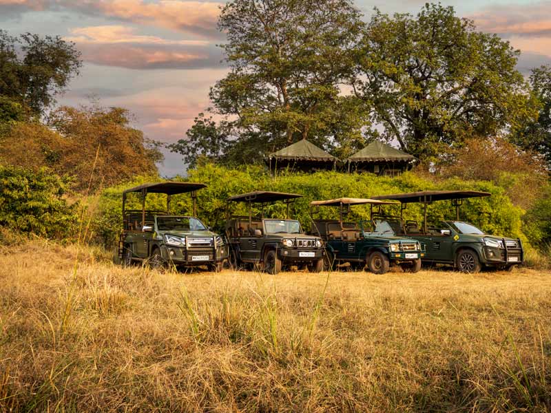 Vehicles for Jungle Safari - Beautiful Homes