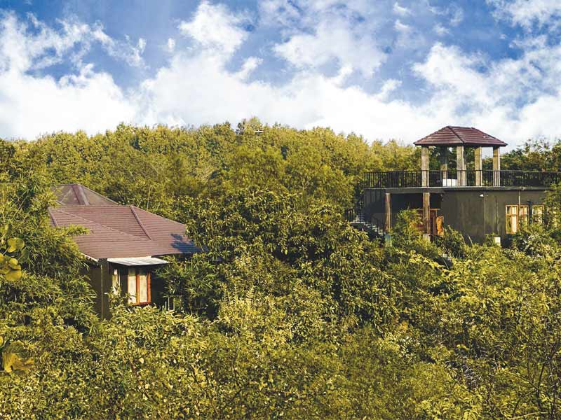 Top View Stay in Forest - Beautiful Homes