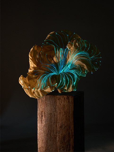 Ocean Expression Made from Banana Fibre Paper - Beautiful Homes