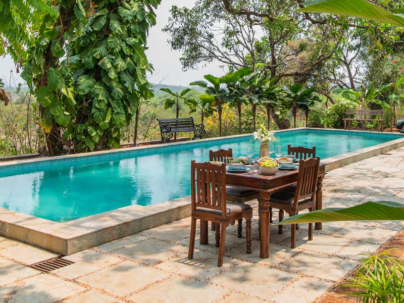 Tranquil pool under lush canopy – Beautiful Homes