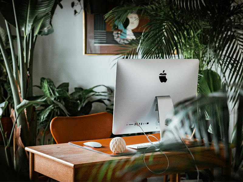 Wooden Home Office Table Among the Plants - Beautiful Homes
