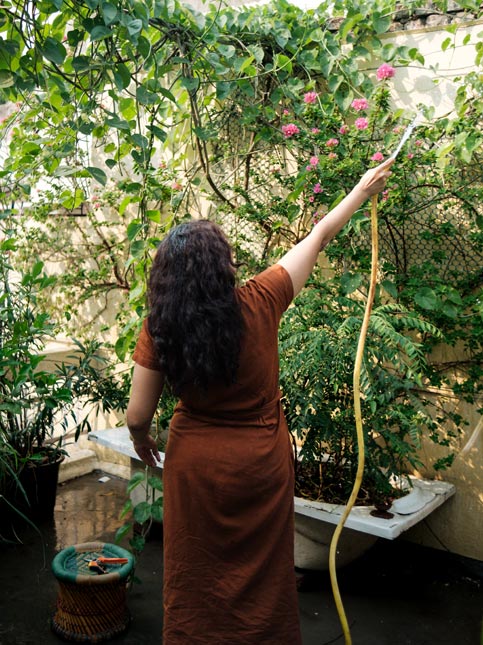 Meenakshi waters blooming pink flowers on a lush green terrace garden - Beautiful Homes