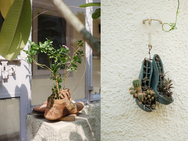 Periwinkles in the shoe, and a variety of Cactus and succulents in the repurposed shoes - Beautiful Homes