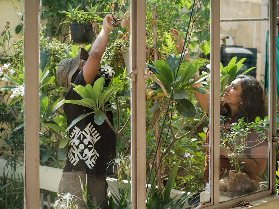 Meenakshi and Kush tending to lush green plants in a sunlit indoor garden - Beautiful Homes