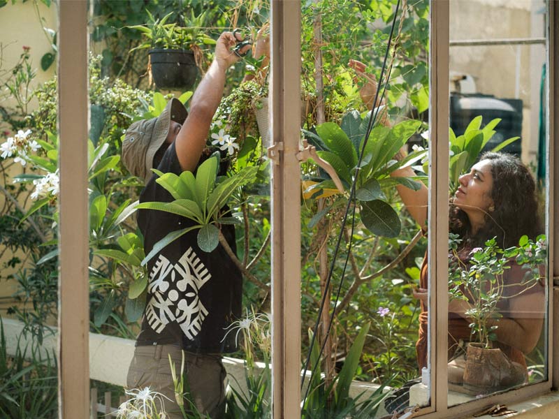 Meenakshi and Kush tending to lush green plants in a sunlit indoor garden - Beautiful Homes