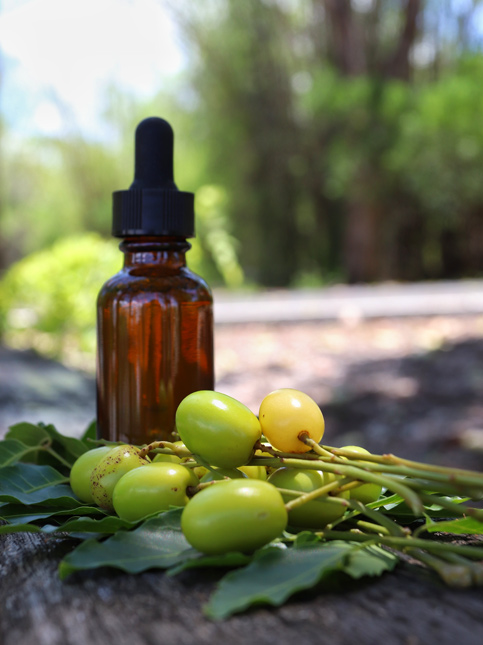 Neem oil bottle with fresh neem fruits on a rustic outdoor background – Beautiful Homes