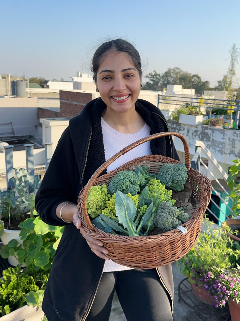 Woman holding a basket of homegrown broccoli on a rooftop garden – Beautiful Homes