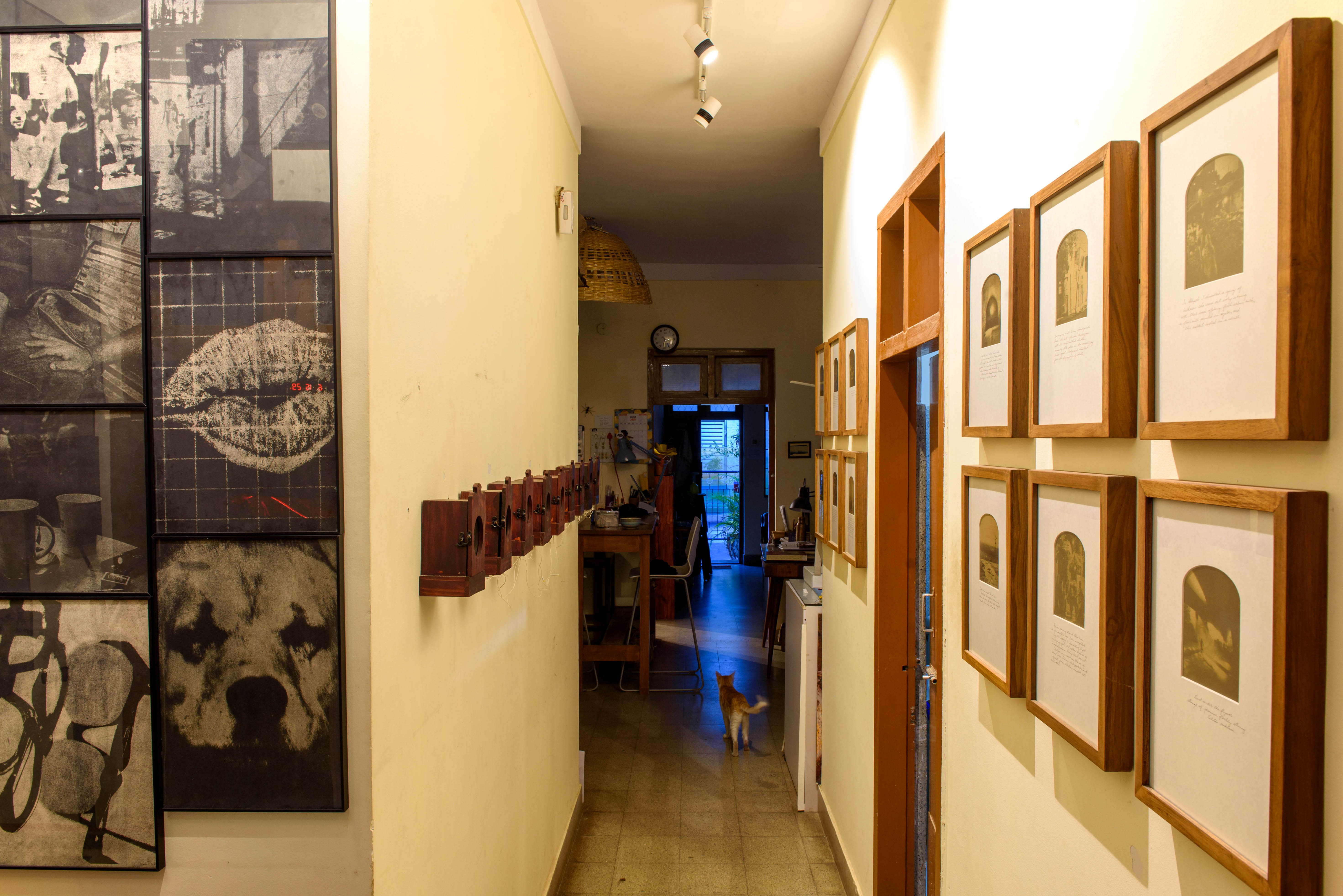 A hallway decorated with framed black and white photos on one side and a gallery of framed artwork on the other, with a small dog in the distance – Beautiful Homes