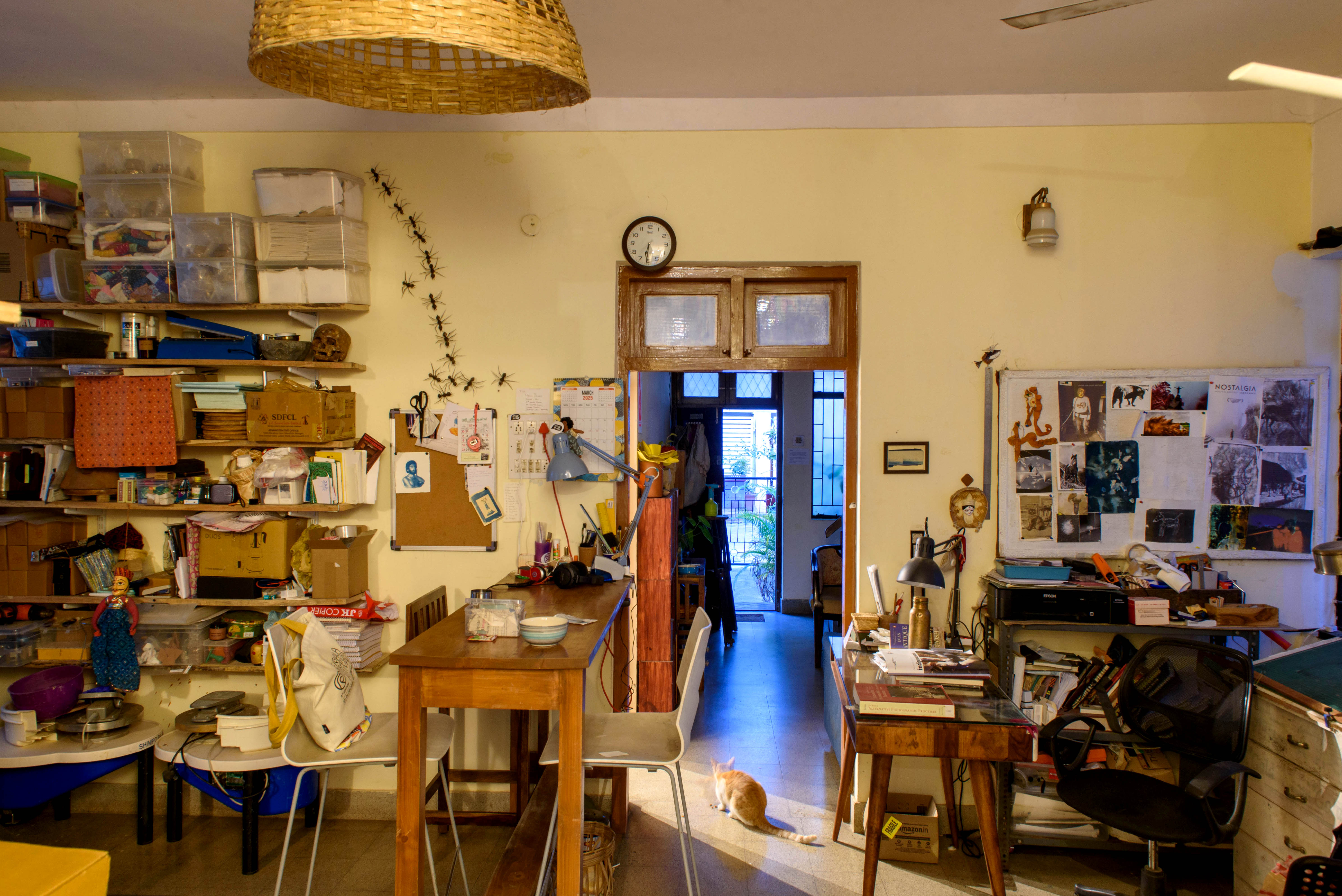 A wide shot of a multi-functional room with open shelves, a dining table, a desk, and a cat near a doorway – Beautiful Homes