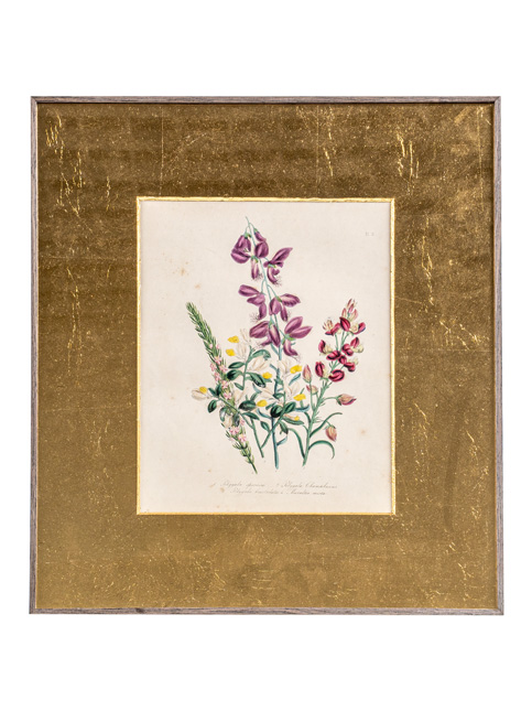 Of Encounters, Empires and Exchange  - Beautiful Homes