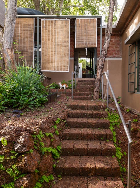 The family keeps their doors and windows open almost year-round – a conscious choice that welcomes in breeze, light, neighbours, their cats, critters and the occasional monitor lizard – Beautiful Homes