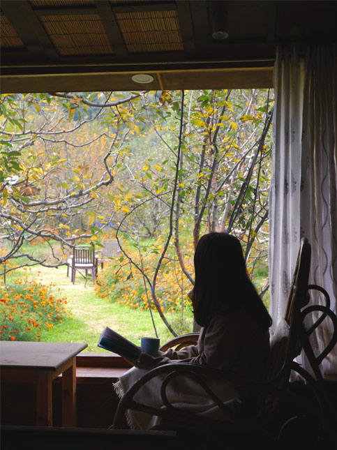 Pehlingpa home Manali – Beautiful Homes