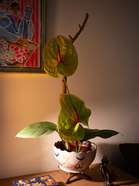 Ikebana inspired floral arrangement with anthuriums – Beautiful Homes