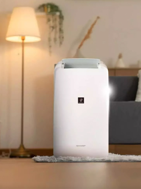 Dehumidifier keeps fabrics mould-free - Beautiful Homes