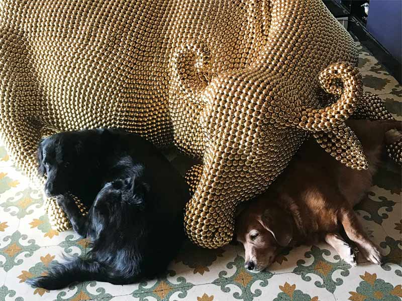 Srila Chatterjee’s home with her late dog beside art – Beautiful Homes