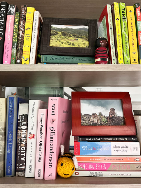 Travel photos and mementos on bookshelf – Beautiful Homes