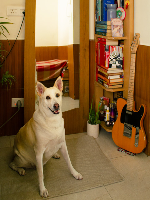 Lola, her constant companion, by the shelf her father built from her childhood cupboard – Beautiful Homes