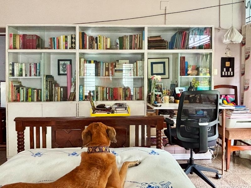 Sophie, once a city dog, now at ease in her country home - Beautiful Homes