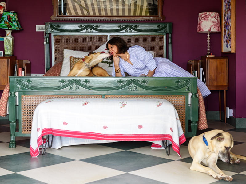 Cozy bedroom with vibrant purple walls, vintage green bed, and dogs relaxing – Beautiful Homes