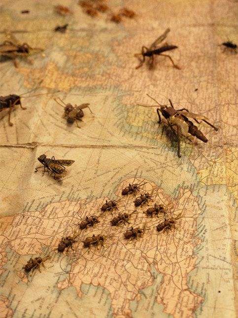 Blacksmith Jeetram crafting metal insect sculptures - Beautiful Homes