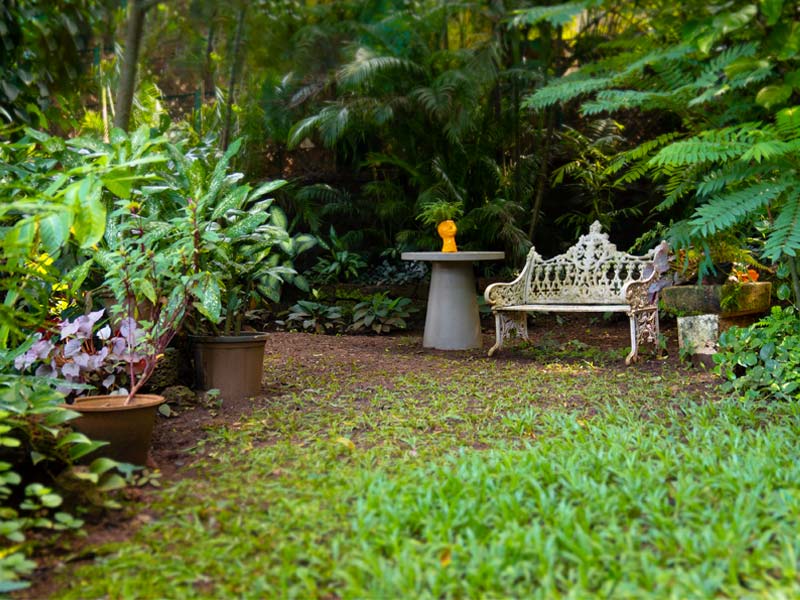 Champa tree and bench viewed from writing desk – Beautiful Homes