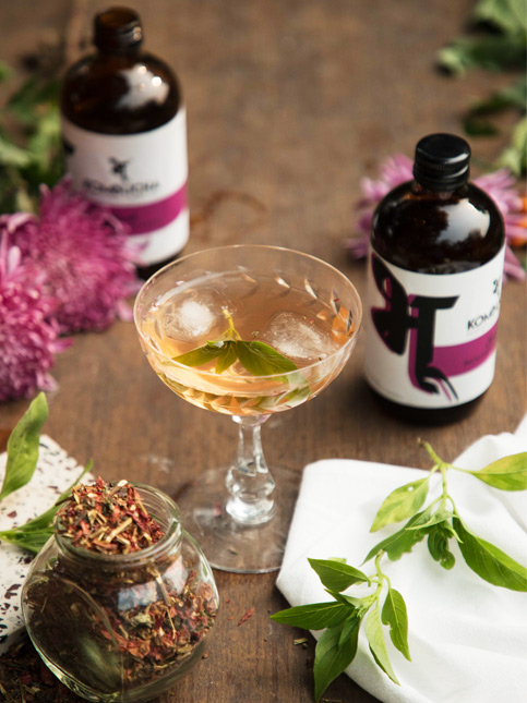 Botanical non-alcoholic gin cocktail – Beautiful Homes