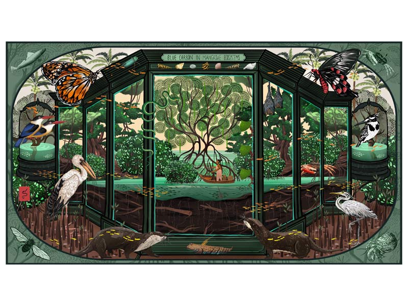 Artwork on Mumbai mangroves biodiversity – Beautiful Homes