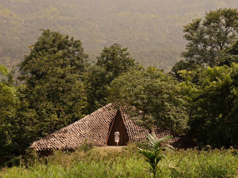 Eco-friendly thatched roof home in forest – Beautiful Homes