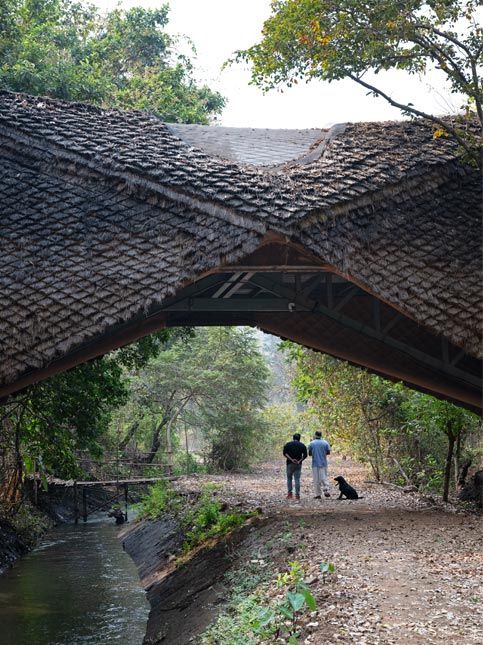 Thatched bridge over forest stream – Beautiful Homes