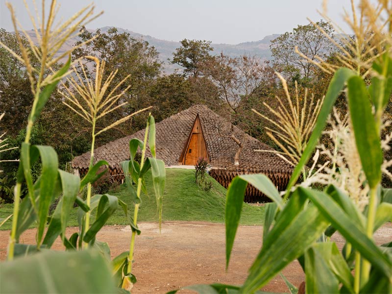 Thatched roof home with pool in lush landscape – Beautiful Homes