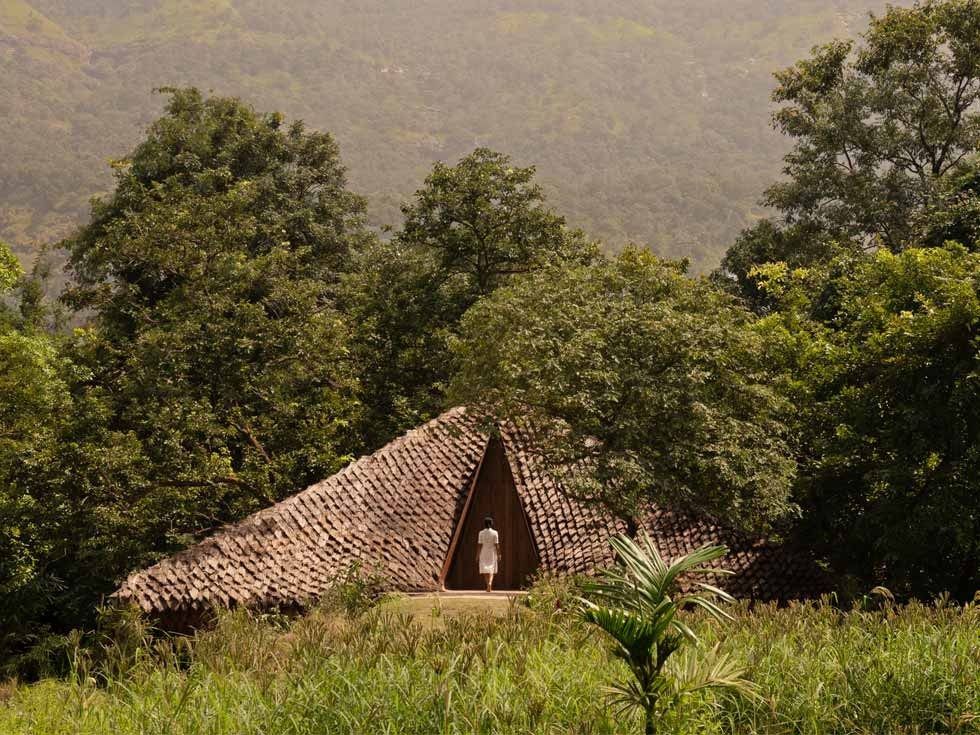 Eco-friendly thatched roof home in forest – Beautiful Homes