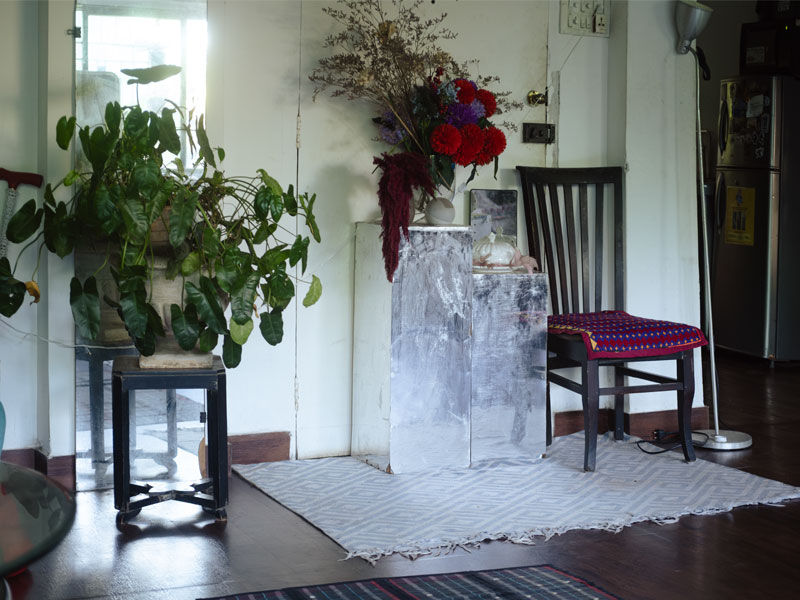 Indoor plants and floral arrangement in bright room – Beautiful Homes