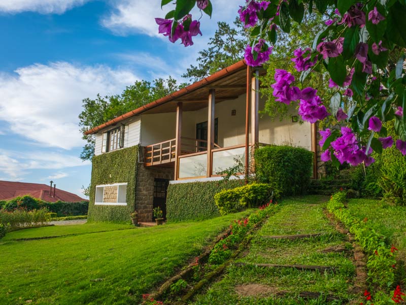 Garden villa with flowering landscape – Beautiful Homes