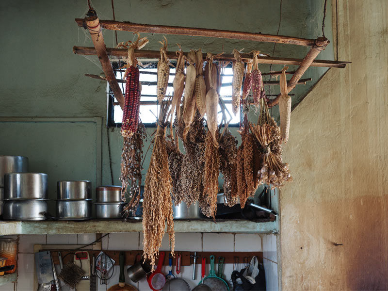 Dried corn and crops hanging from kitchen ceiling – Beautiful Homes