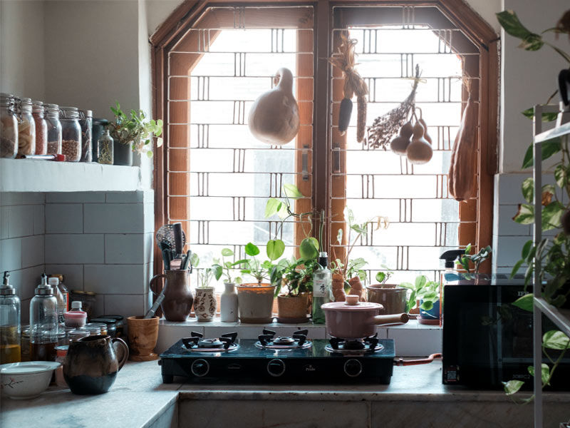 Sunlit kitchen counter with plants – Beautiful Homes