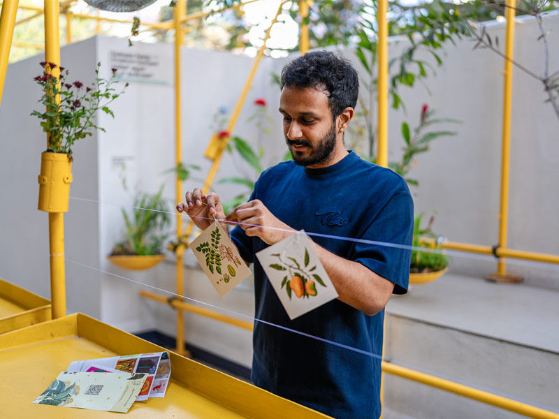 Navneeth Dinesh botanical art installation at MAP - Beautiful Homes