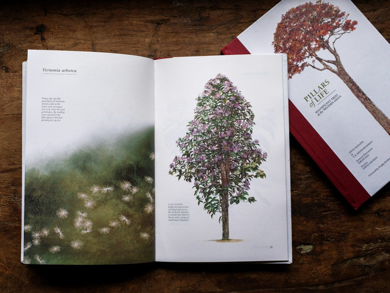 Nirupa Rao scientific illustration work - Beautiful Homes