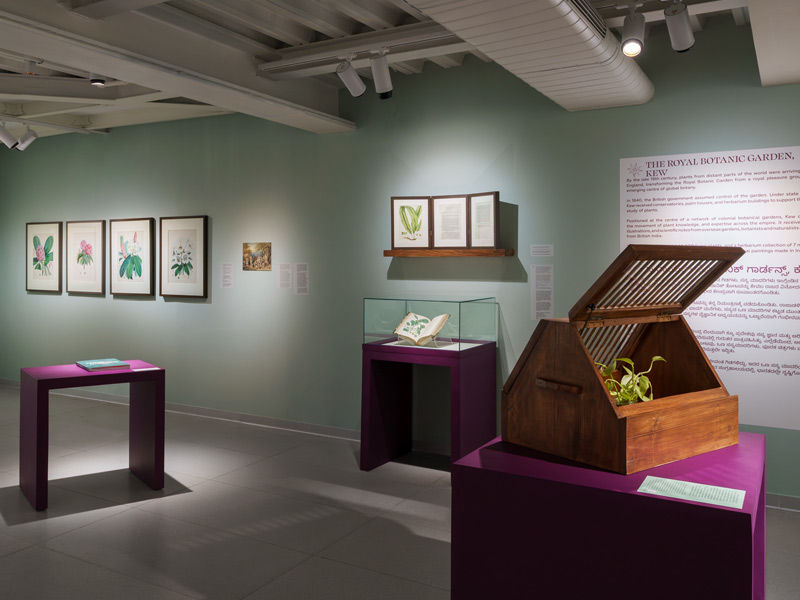 Paper Gardens botanical art display at MAP Bengaluru - Beautiful Homes