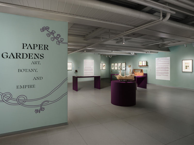 Paper Gardens exhibition view at MAP Bengaluru - Beautiful Homes
