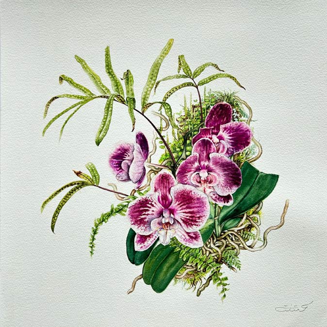 Priti Vadakkath epiphyte-inspired artwork - Beautiful Homes