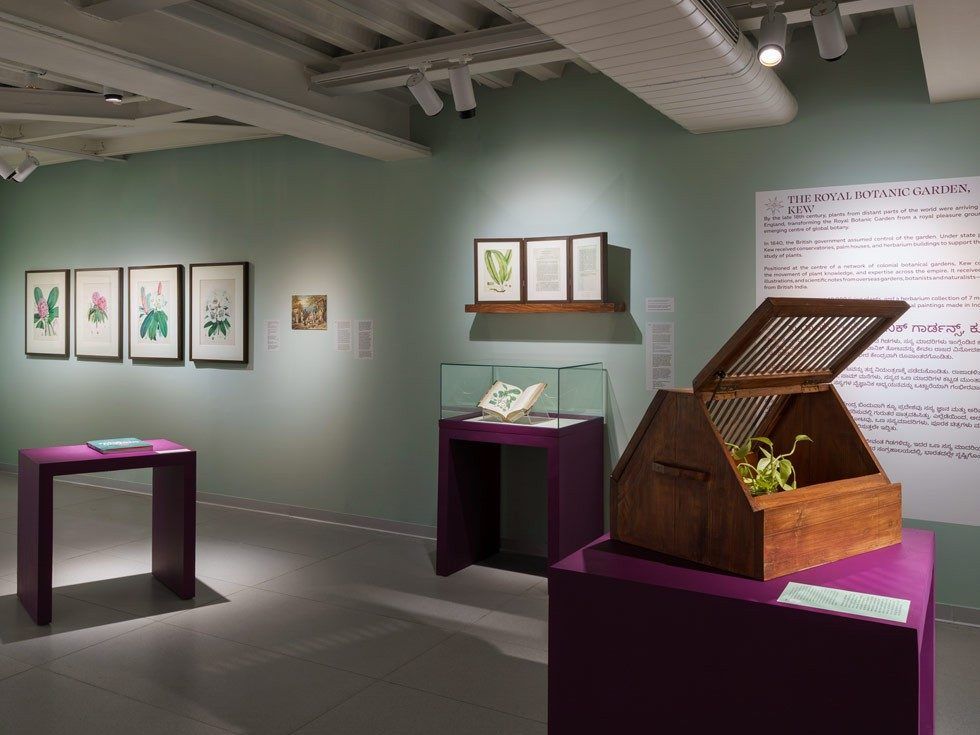 Paper Gardens botanical art display at MAP Bengaluru - Beautiful Homes