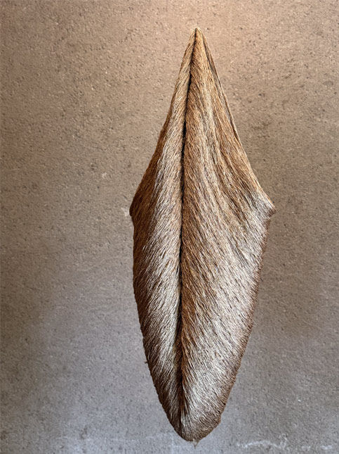 Artwork by Chiaki Maki at KAASH – Beautiful Homes